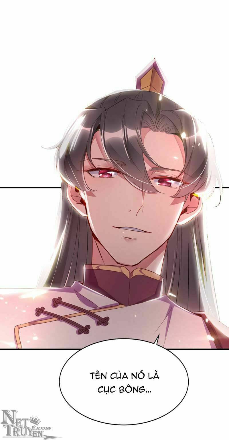 thiên thần gấu trúc muốn được ôm chapter 43 12