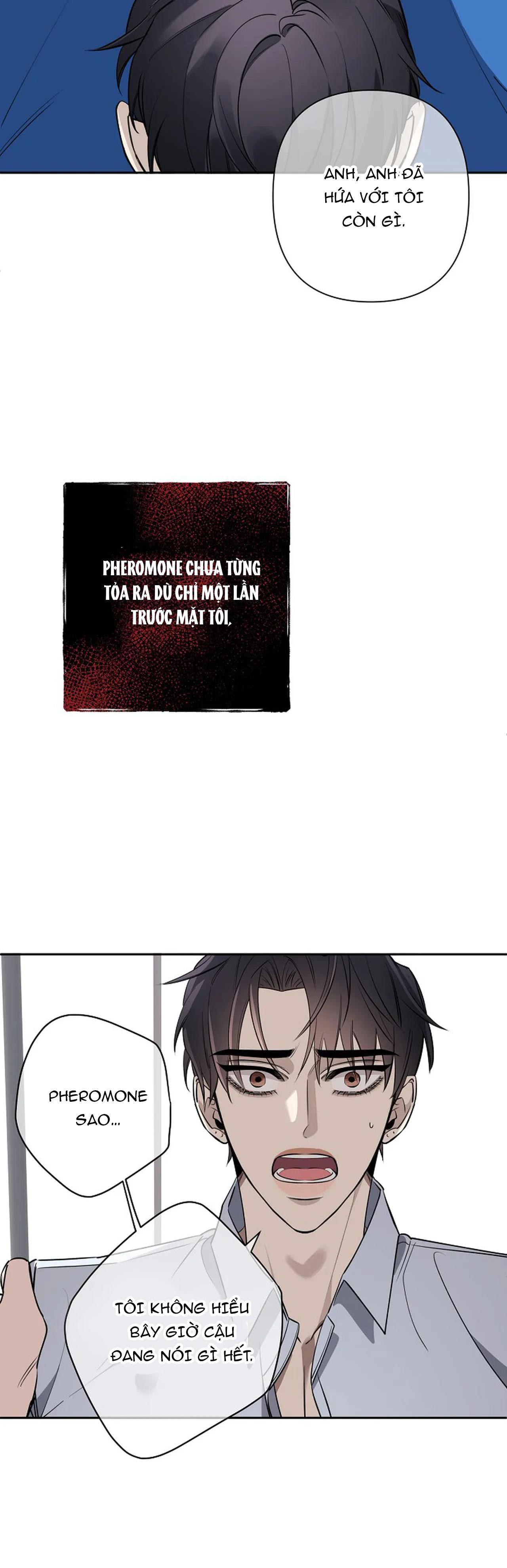 đêm dịu dàng chapter 39 34