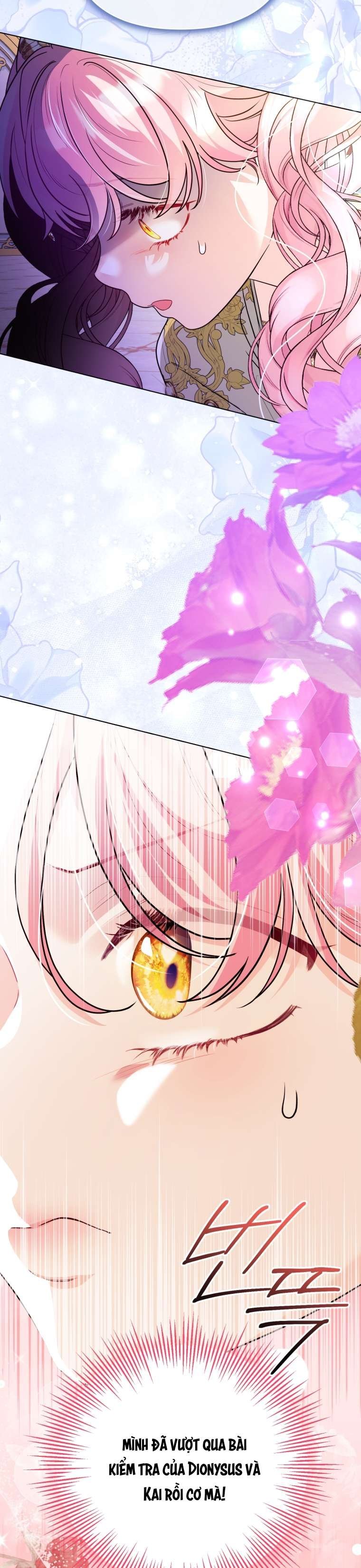 Thà Là Để Tôi Trở Thành Nữ Hoàng chapter 50 END SS1 14
