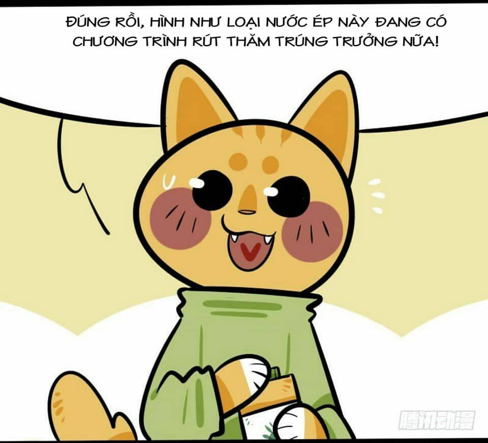 đời không như mình tưởng chapter 16 5