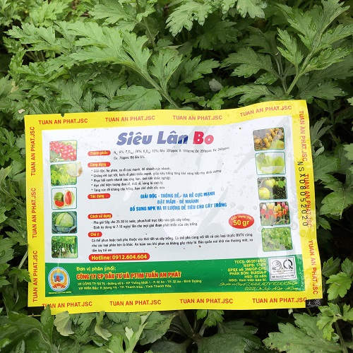 Phân bón siêu lân Bo giải độc, hạ phèn, phục hồi xanh nhanh