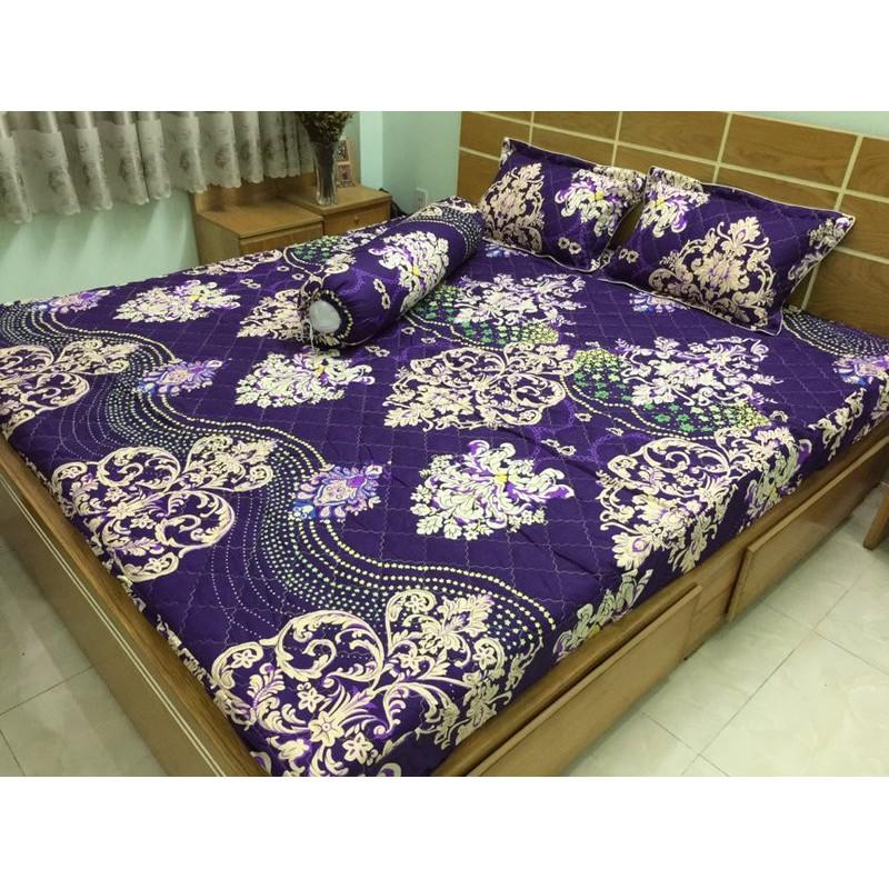 Bộ chăn ga gối Cotton Poly bọc thun và chần gòn 3 lớp nhiều mẫu 1m6x2mx20cm