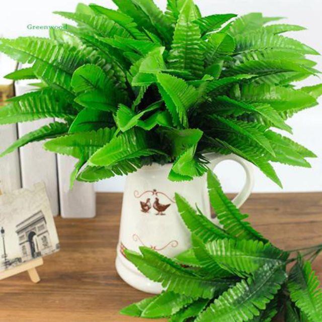 Cây Dương Xỉ nhựa PVC trang trí nhà cửa gắn tường thảm cỏ