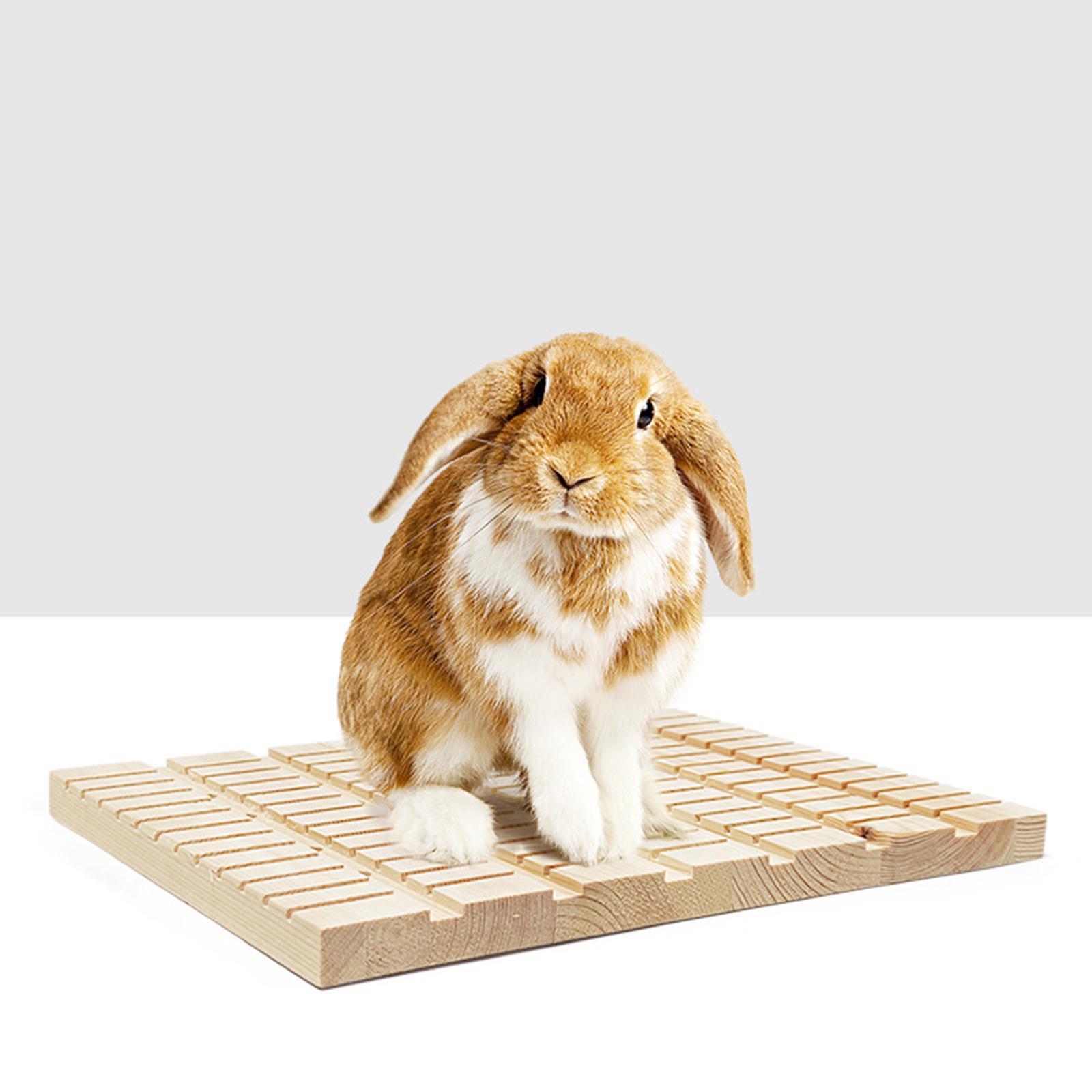 Rabbit Scratching Board Wooden Chew Toys for Chinchilla Rabbit Small Animals