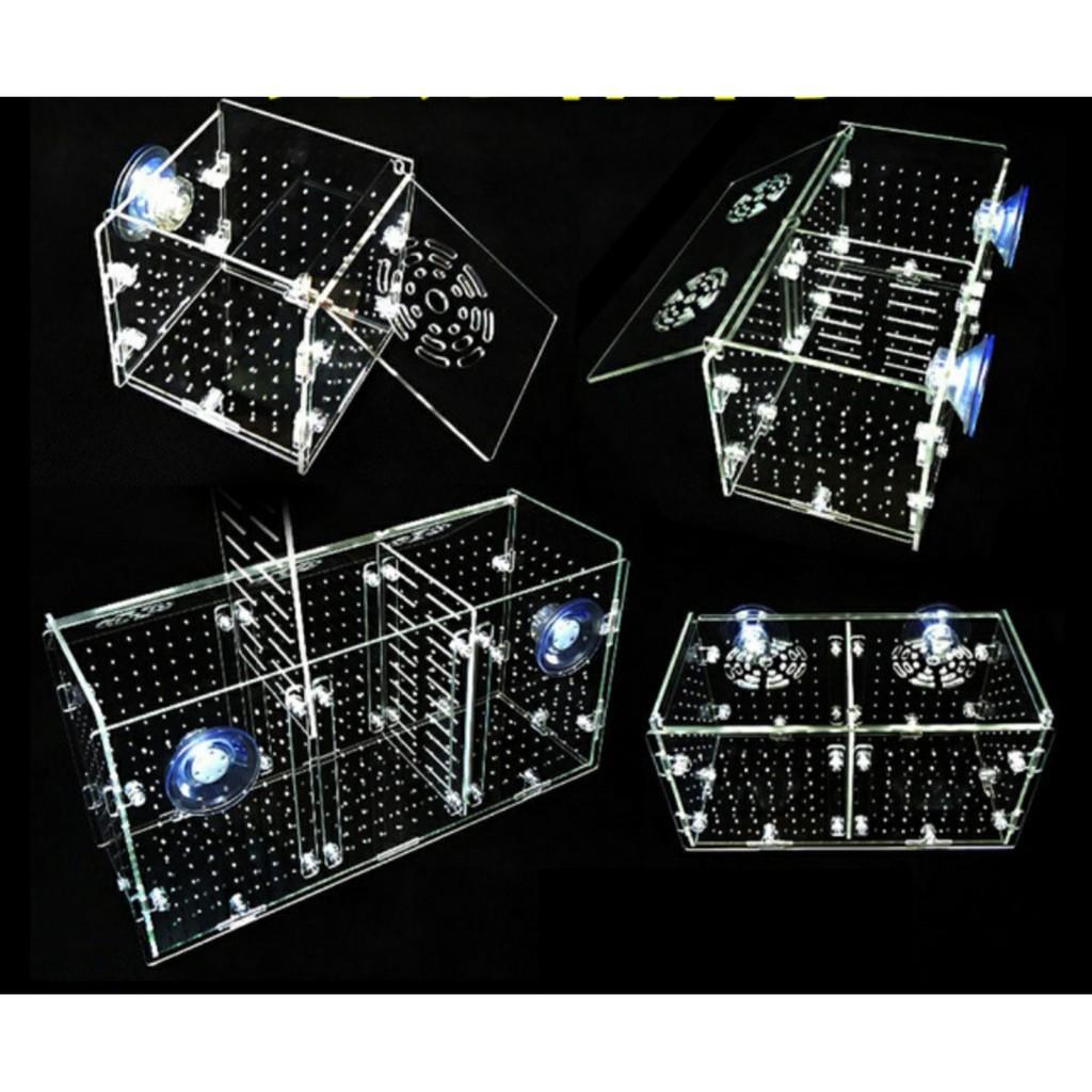 Lồng dưỡng cá tép Mica siêu trong- Lồng dưỡng tép bể thủy sinh