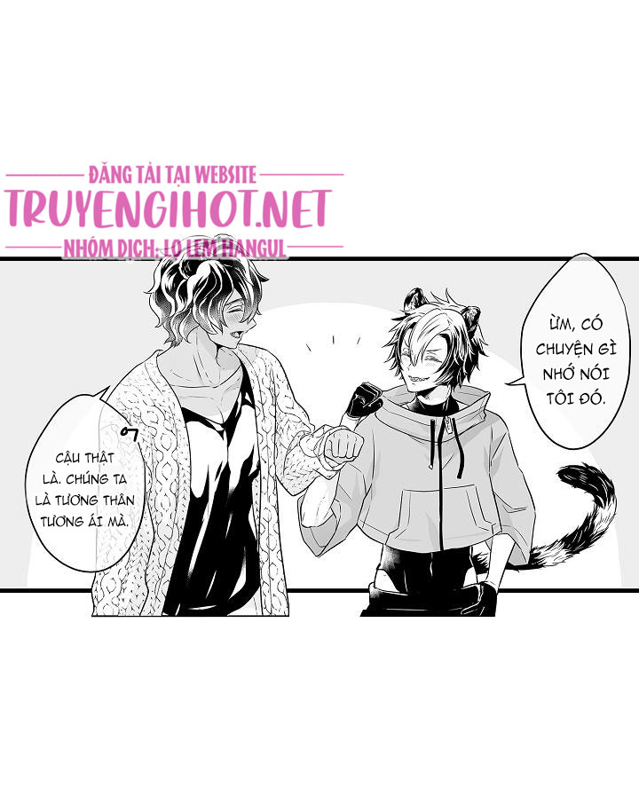 gấu ngủ đông chapter 9.3 11