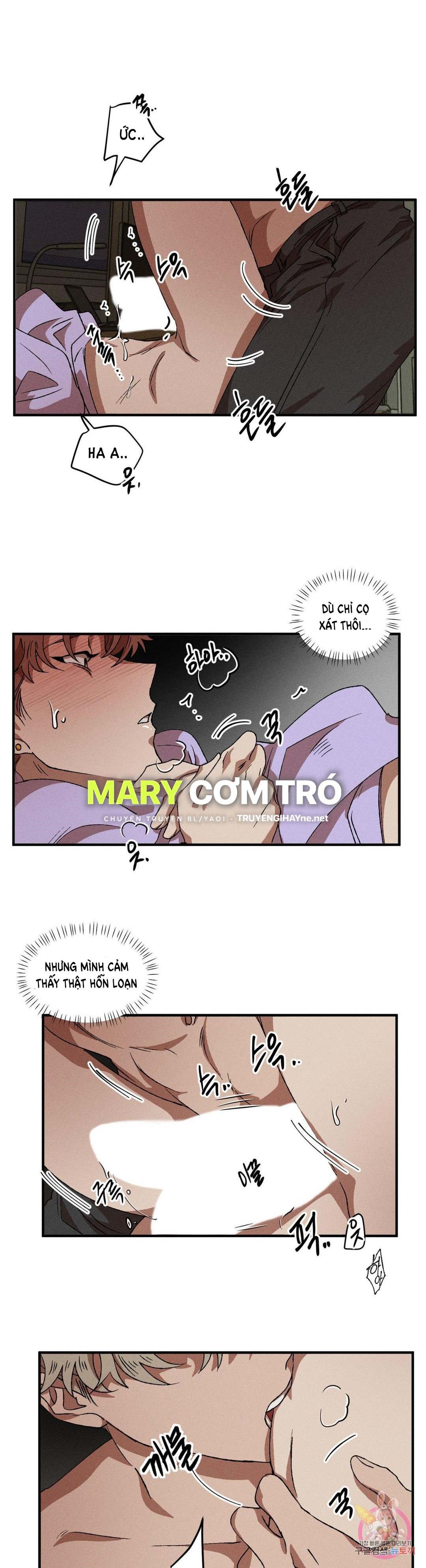 bẫy kép chapter 40.1 12