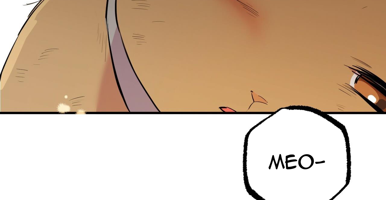 những chú thỏ của hapypy chapter 49 285