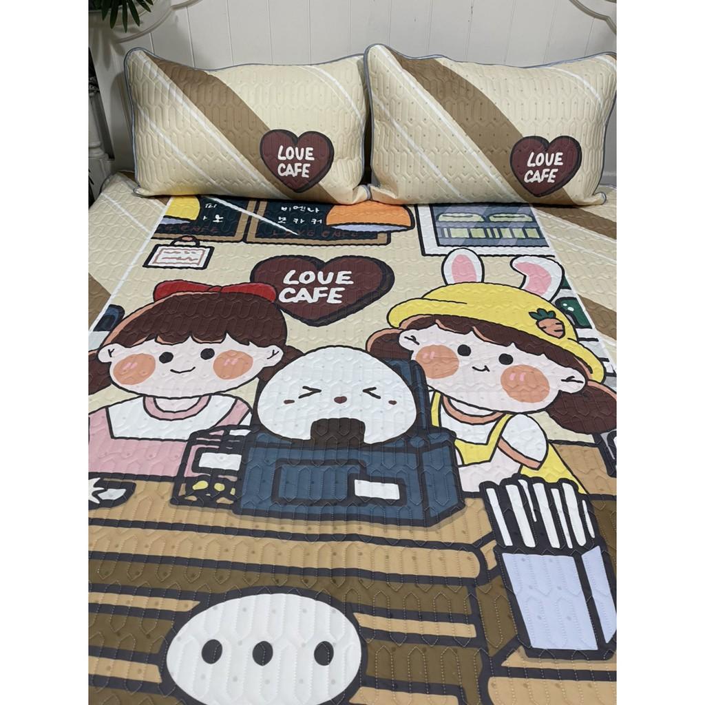 Chiếu Điều Hòa Cao Su Non 5D Hàng Loại 1 Có Sẵn Size 1m8*2m