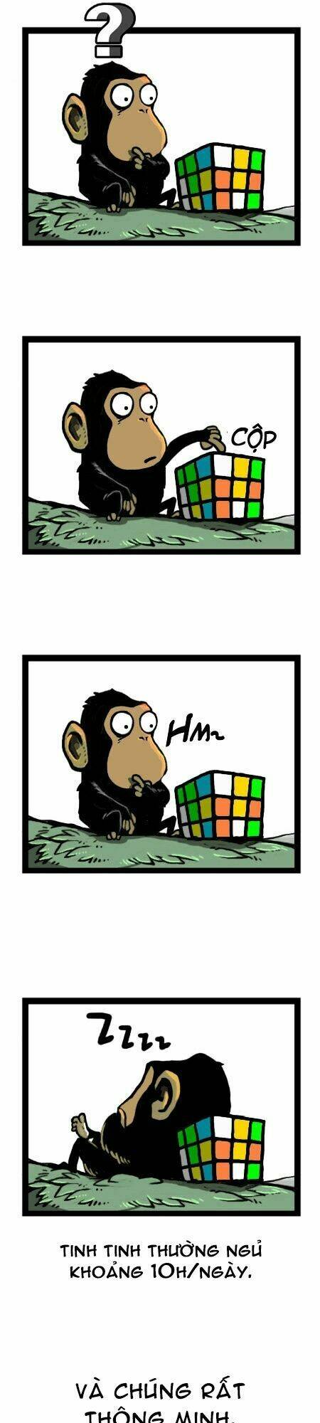 earth, human, and animal chapter 15 17