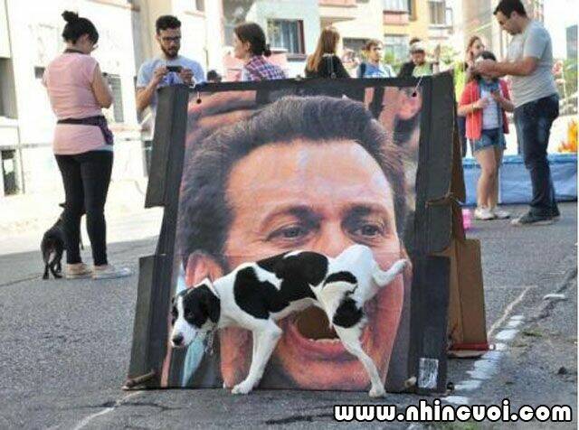 hình ảnh hài hước new chapter 6 7