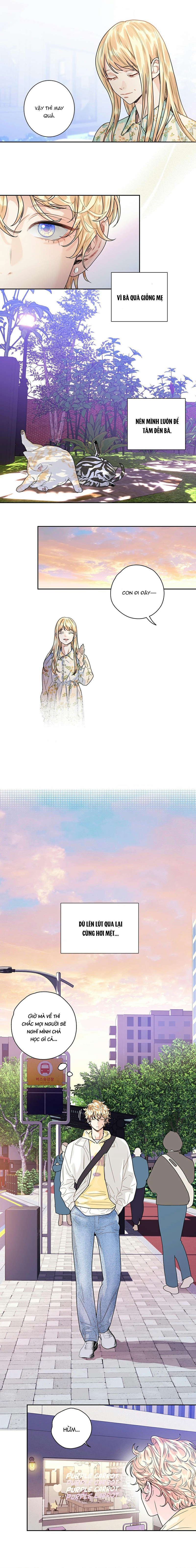 tình yêu là ảo ảnh chapter 4 11