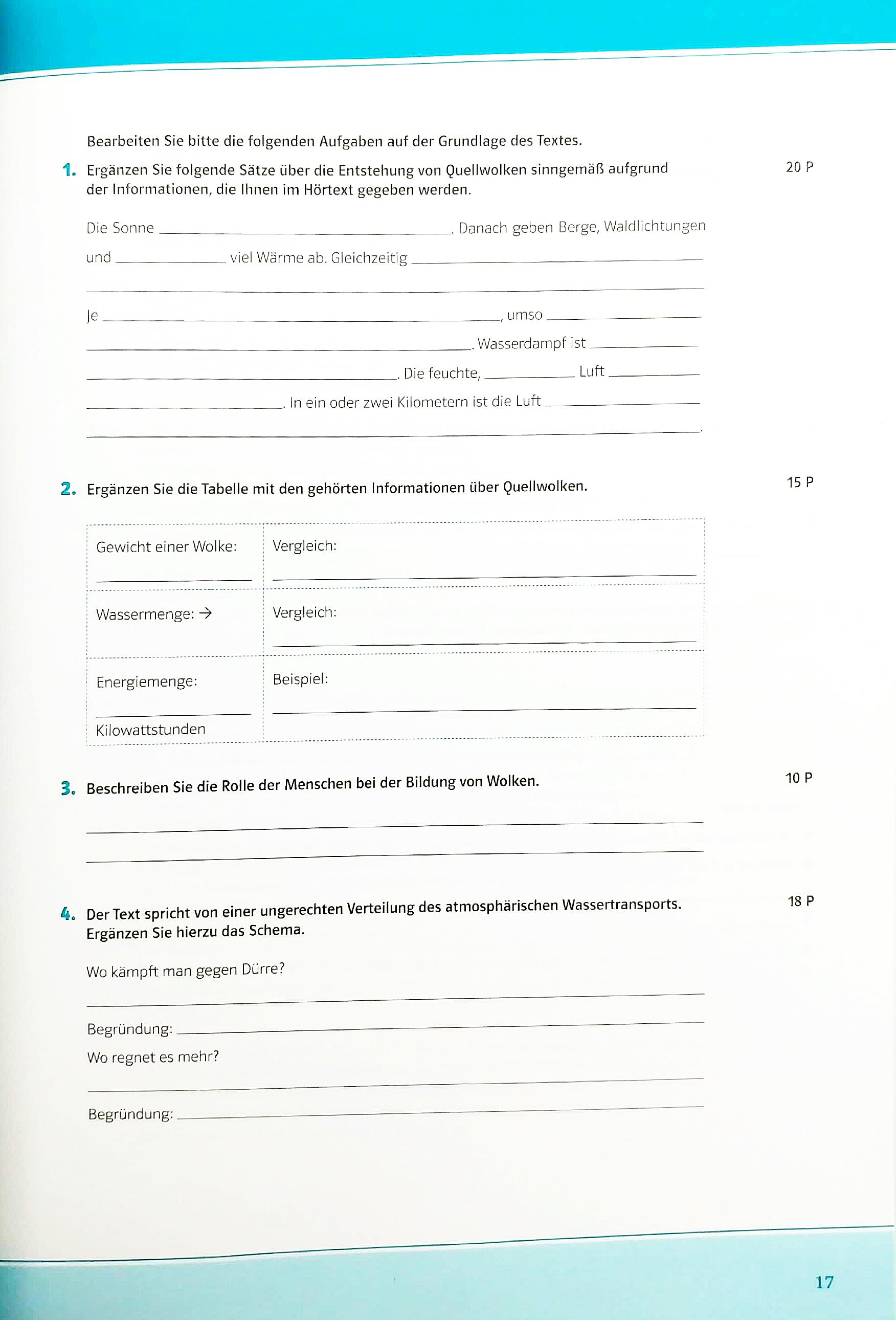 Mit Erfolg zur DSH - Testbuch