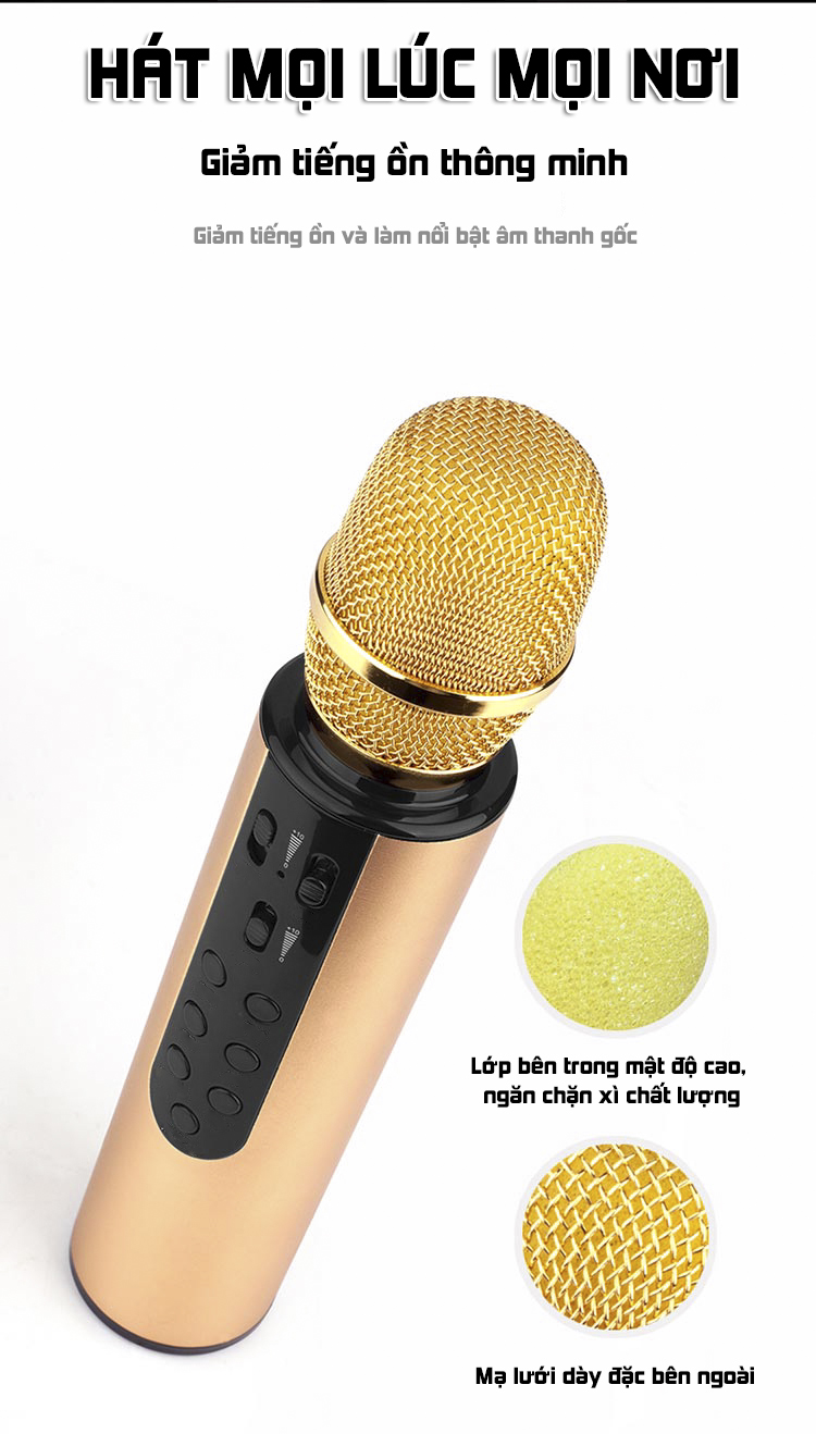 Micro không dây bluetooth kèm loa hát karaoke có khay cắm thẻ nhớ âm thanh vượt trội PKCB PF1019 - Hàng chính hãng