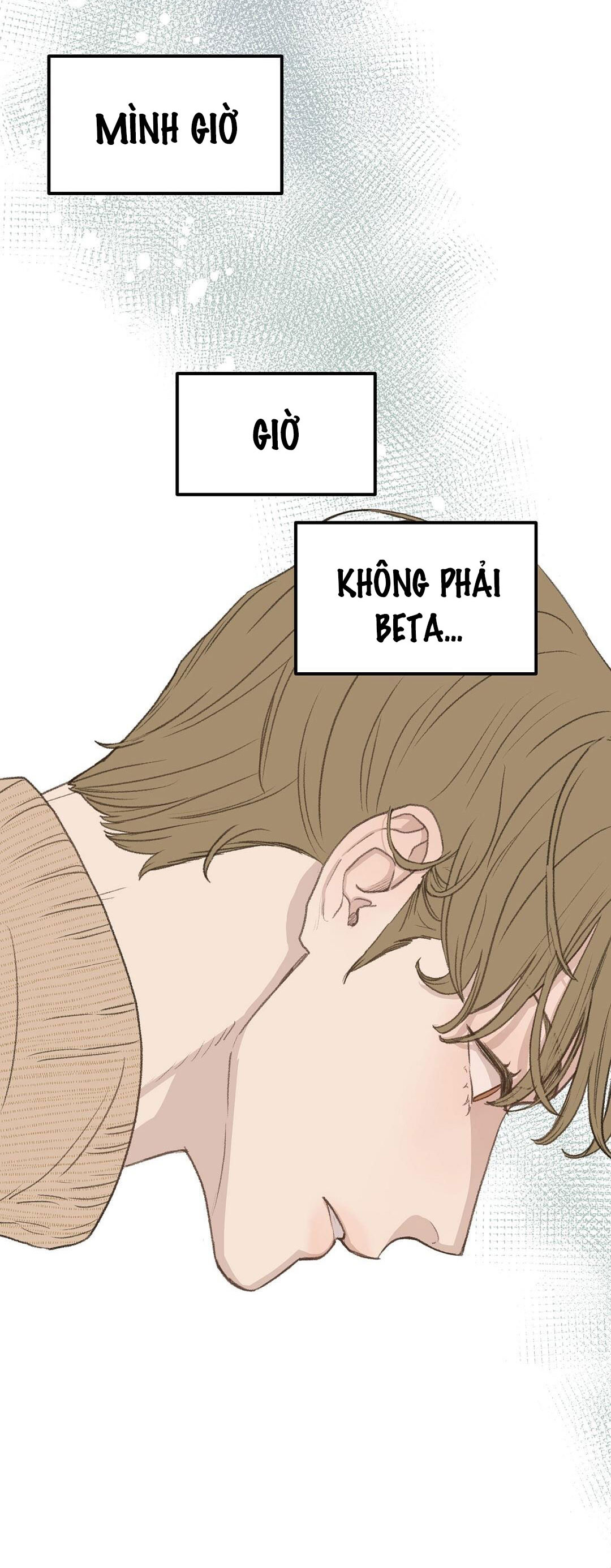 Vùng Cấm Tình Yêu Của Beta chapter 45