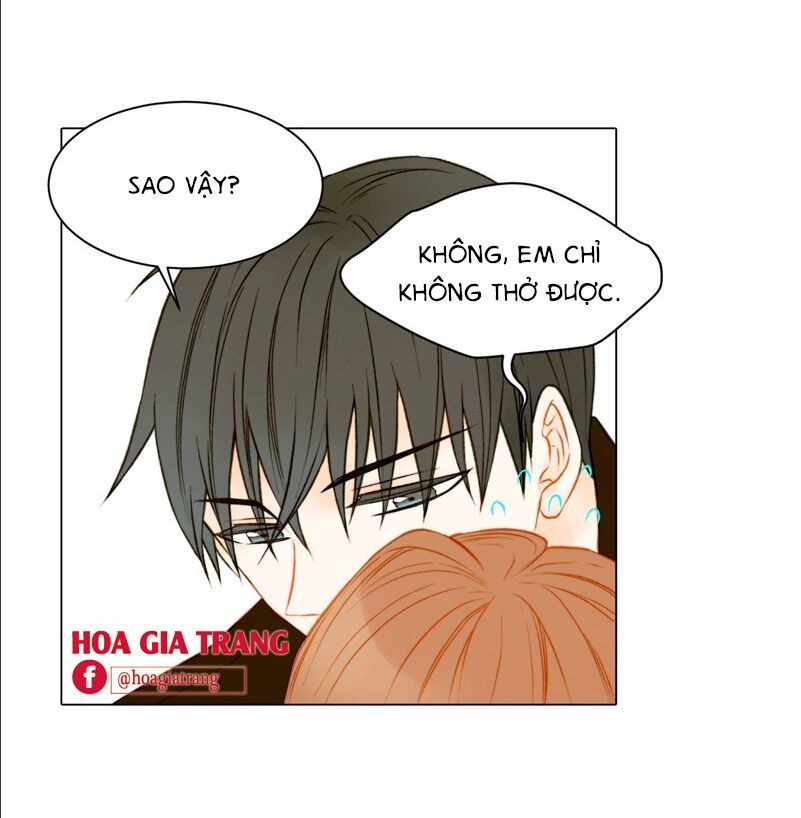 sao chép chapter 65 19