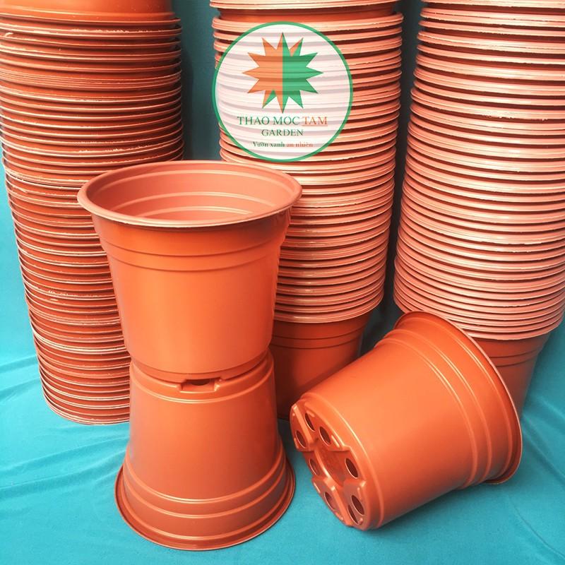 20c Chậu nhựa trồng hoa 15x12.5cm  - Chậu chuyên trồng hoa, trồng dâu tây nhà vườn