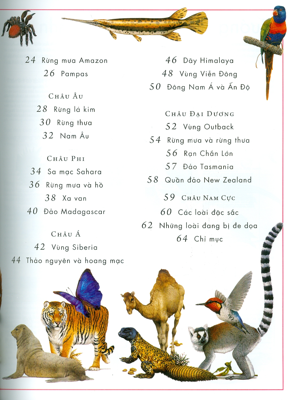 Atlat Động Vật - Bách Khoa Bằng Hình Về Các Loài Động Vật Hoang Dã Trên Thế Giới