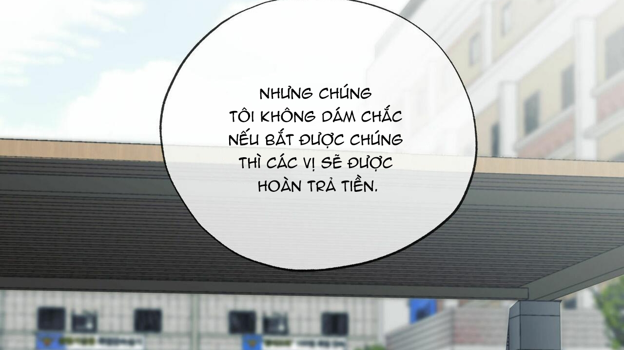 chàng giao pizza và gold palace chapter 20 141