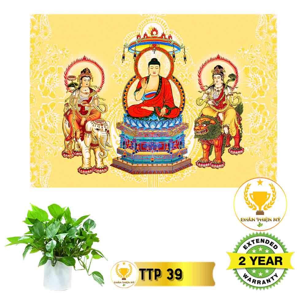 Tranh điện Tam Thế Phật_TTP4