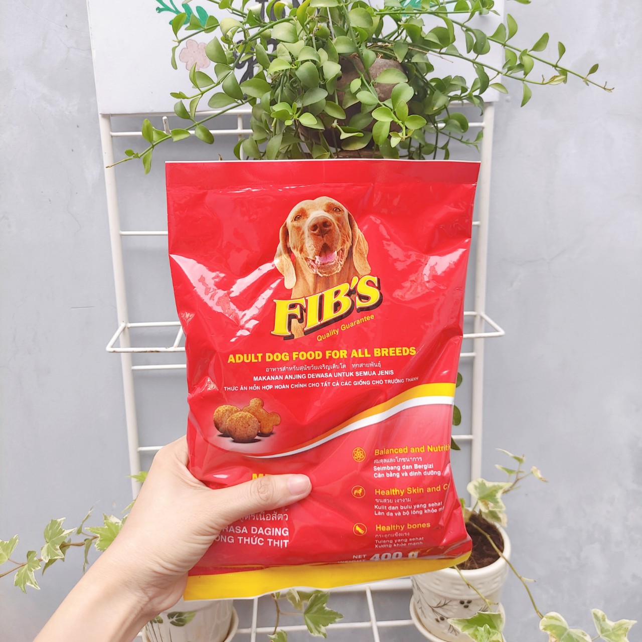 20KG Thức ăn cho chó trưởng thành Fib's -  Ganador Fib's