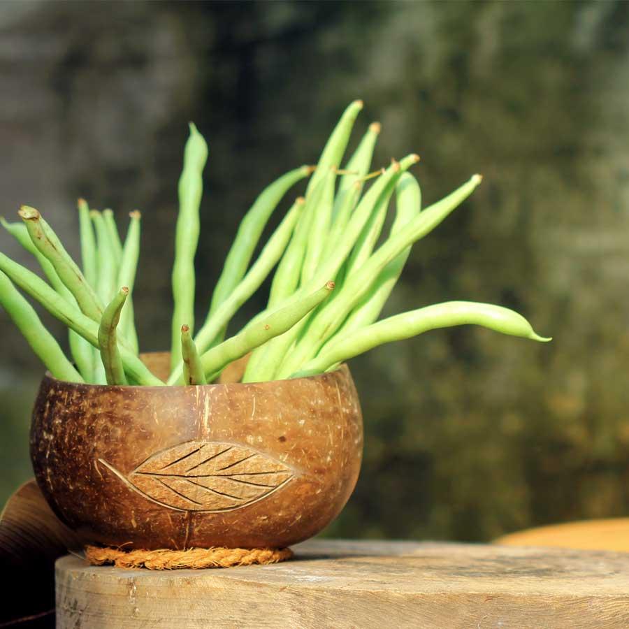 Tô/Chén/Bát gáo dừa khắc hoa văn Crus