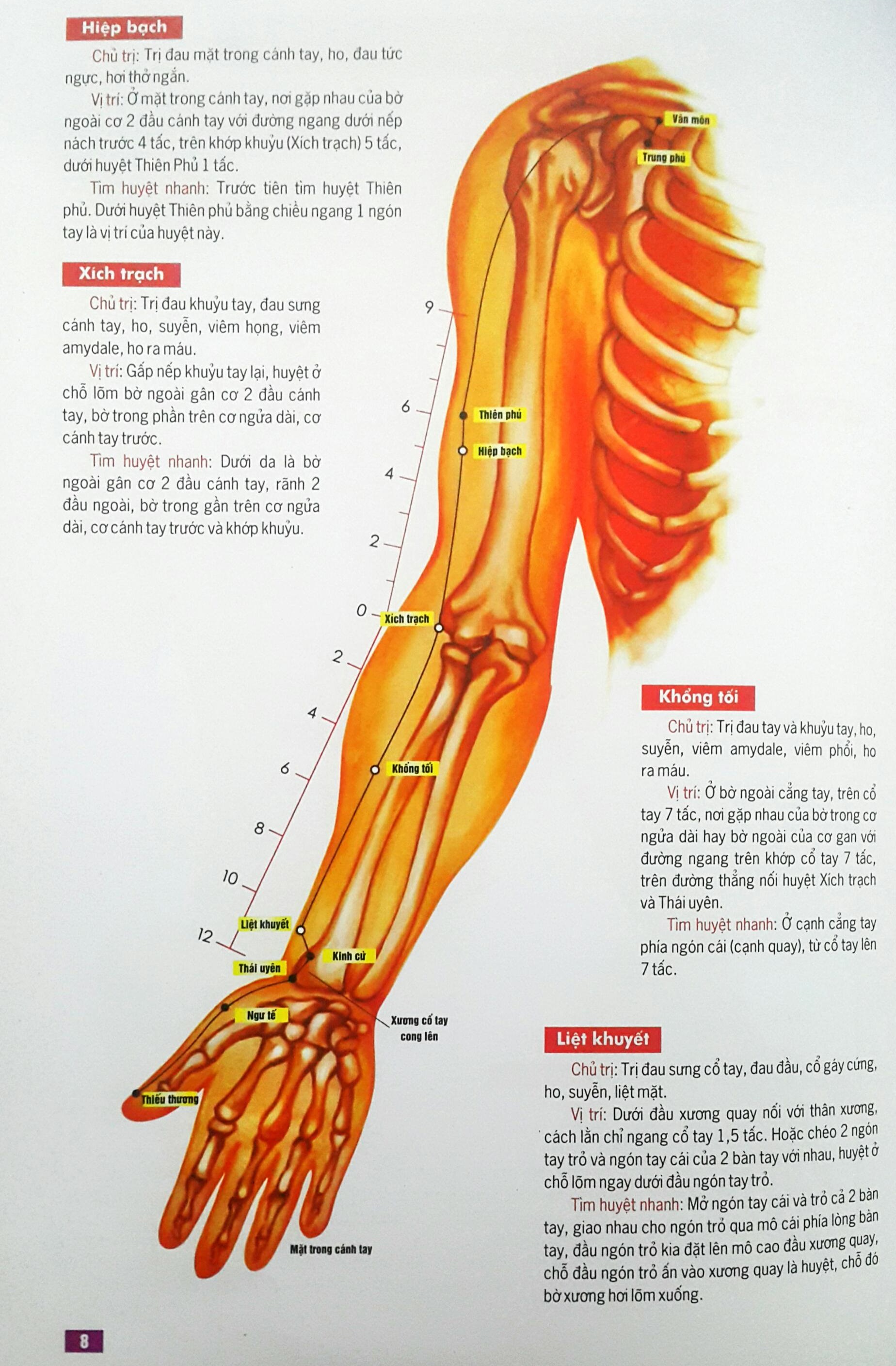 Huyệt Vị Kinh Lạc Cơ Thể Người (Tái Bản)