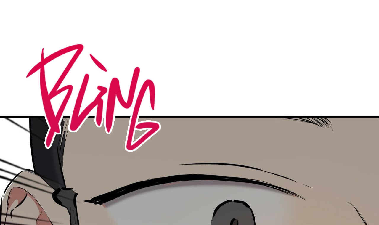 những chú thỏ của hapypy chapter 49 72