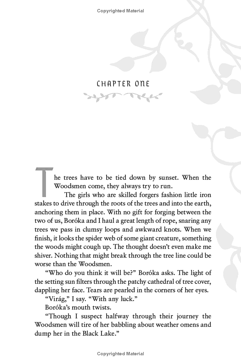 Sách ngoại văn: The Wolf And The Woodsman (Deluxe Collector's Edition)