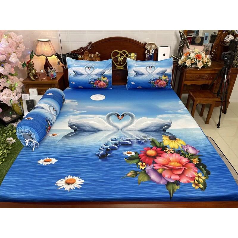 Drap thun hàn quốc