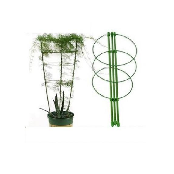 Giá đỡ hoa hồng, cây leo, cà chua KT cao 75cm, DK vòng 27-22 cm