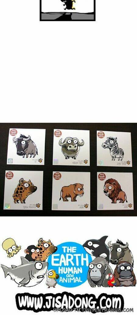 earth, human, and animal chapter 9 17