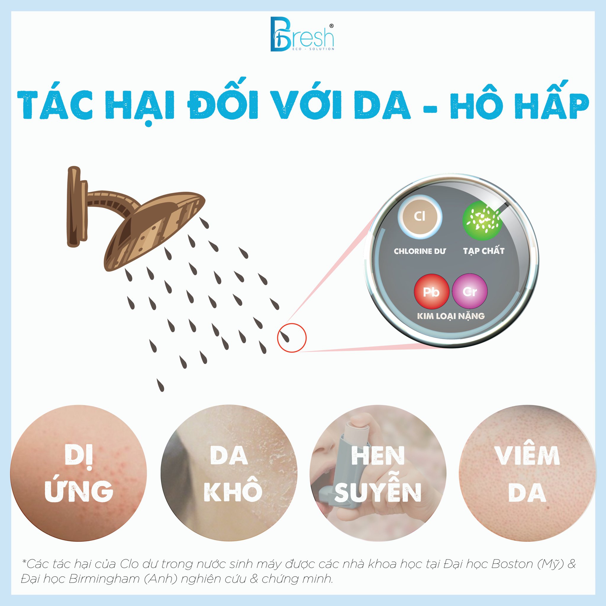 Lõi lọc nước vòi sen - Rita Fresh