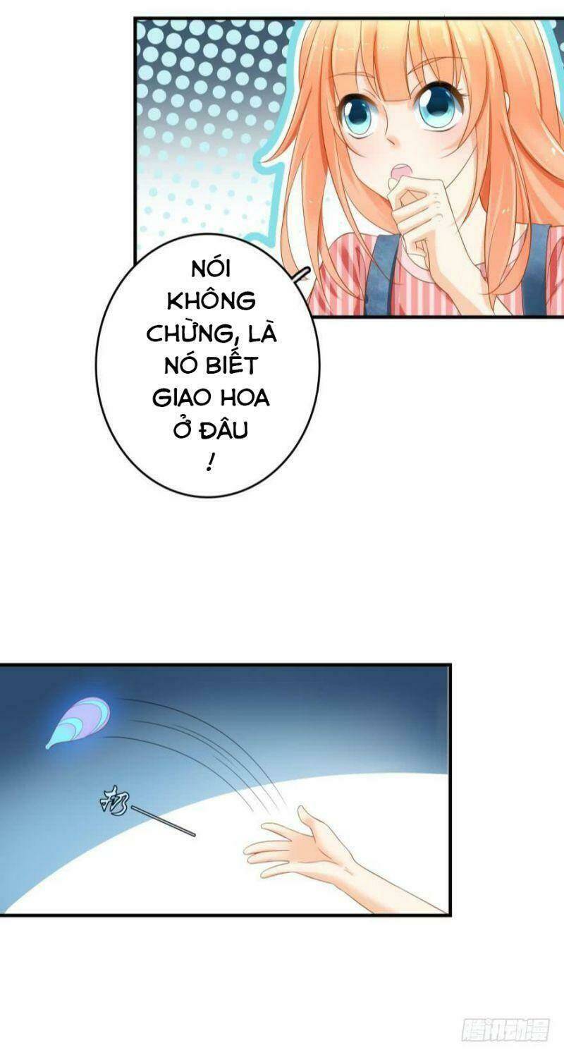 nhân ngư học trưởng, đừng ôm ta! chapter 64 4