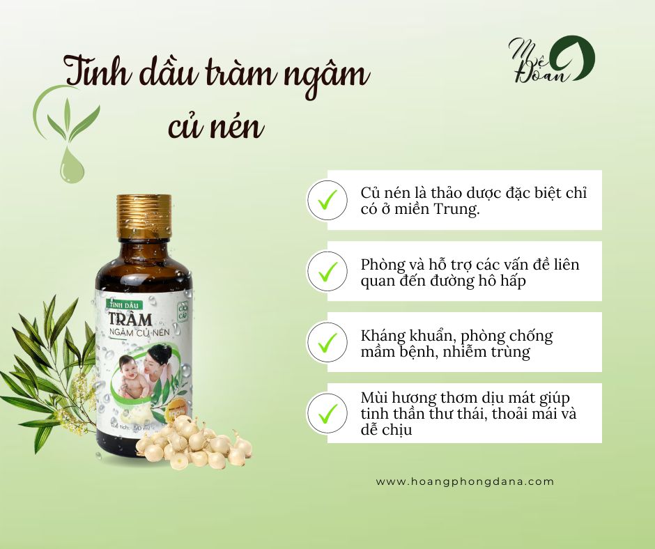 Tinh Dầu Tràm Ngâm Củ Nén Mệ Đoan Cao Cấp Kháng Khuẩn Gấp 3 Tinh Dầu Tràm cho Bé Sơ Sinh Sát Khuẩn Phòng Ho Côn Trùng Cắn Muỗi Đốt 50ml