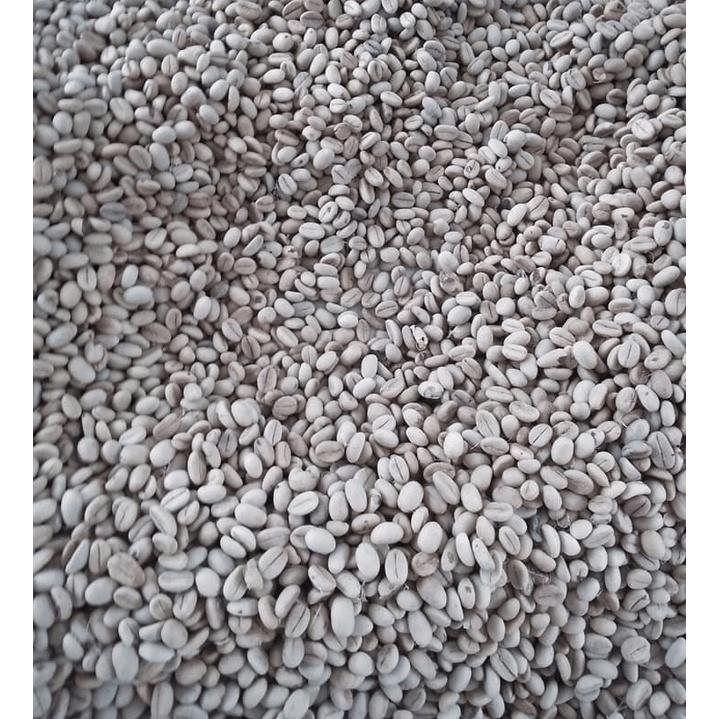 1 KG HẠT GIỐNG CÀ PHÊ TRS1 .