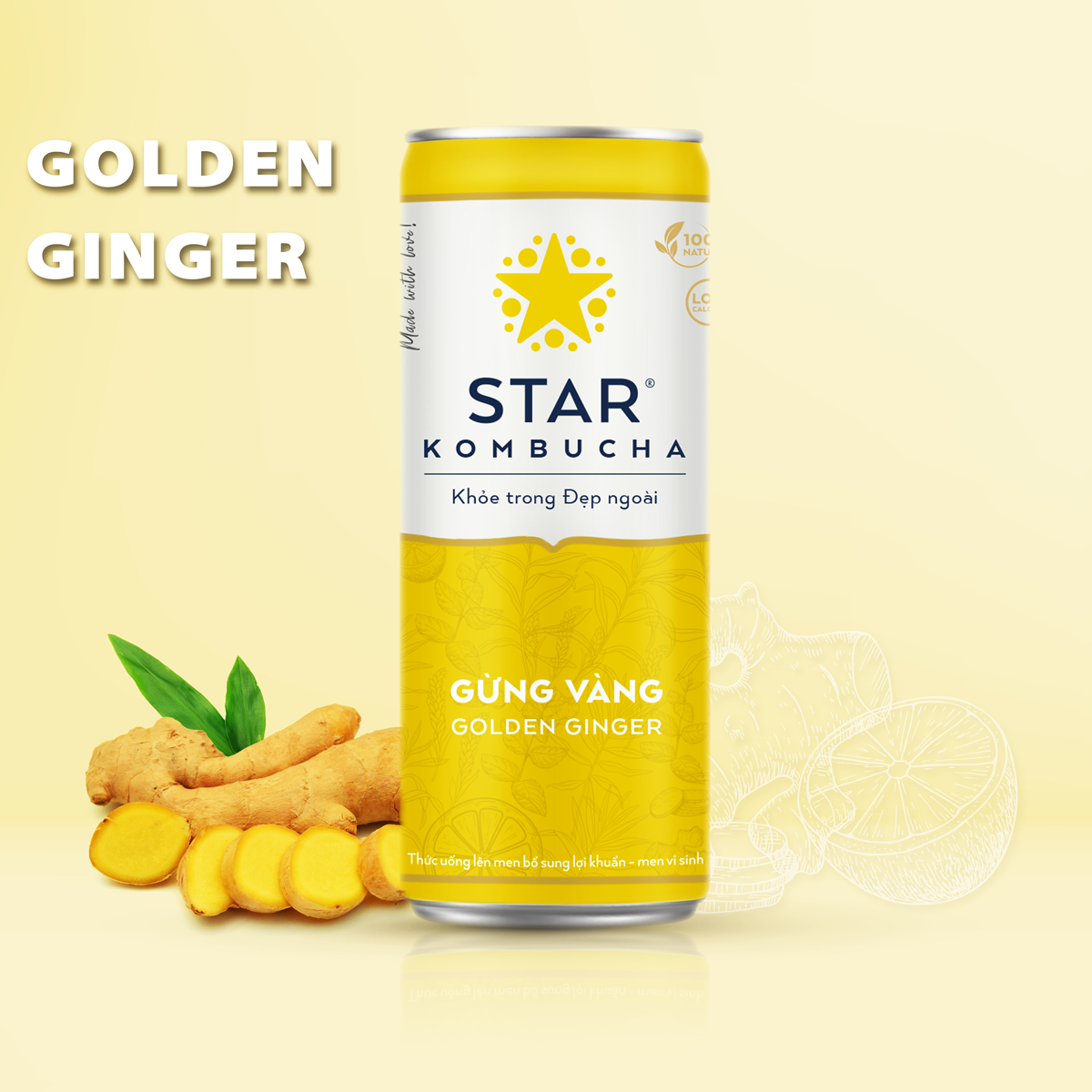 Lốc 6 lon thức uống lên men STAR KOMBUCHA Gừng Vàng / Golden Ginger (250ml/lon)