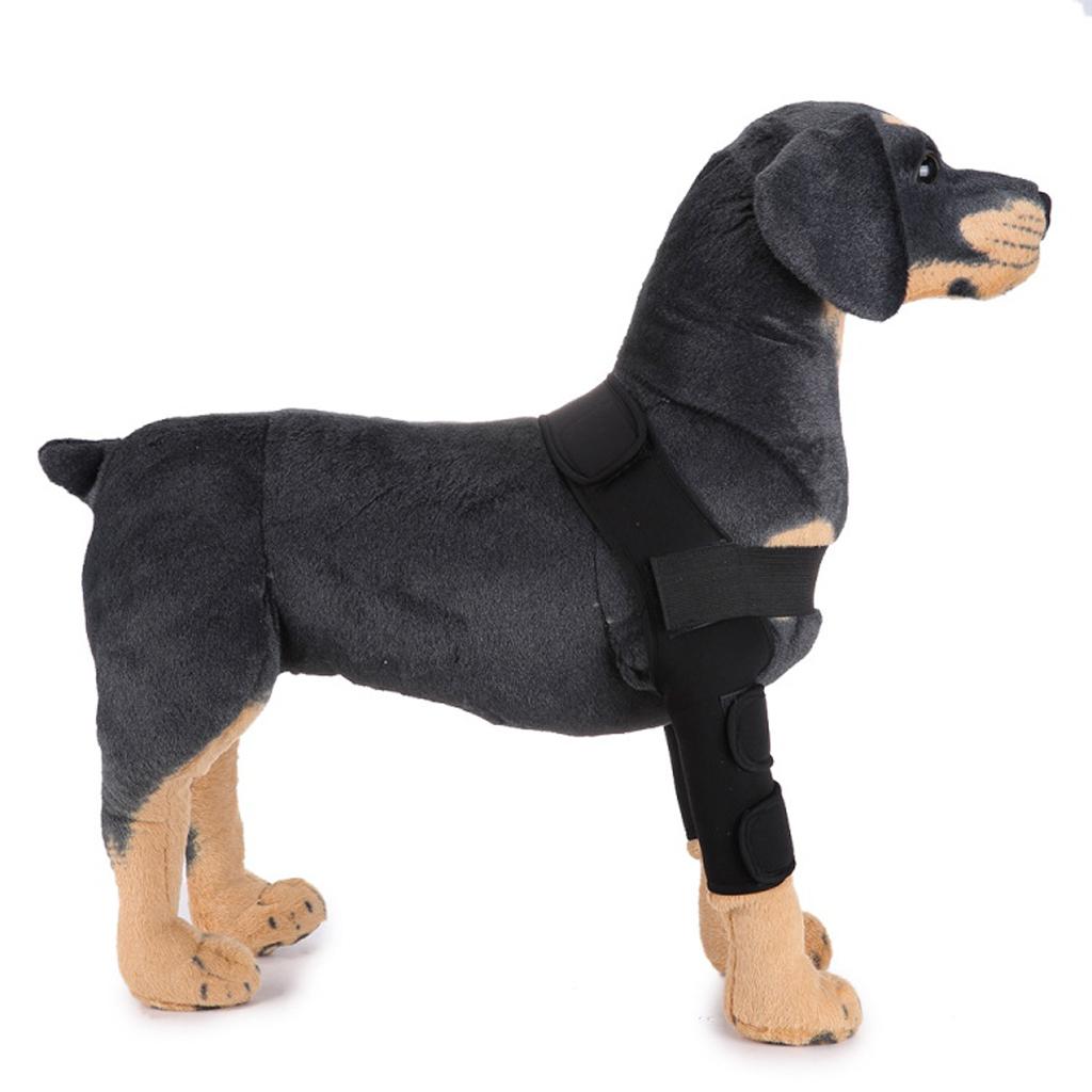 Dog Leg Brace Knee Leg Joint Protector Support Prevents Injuries and Sprains