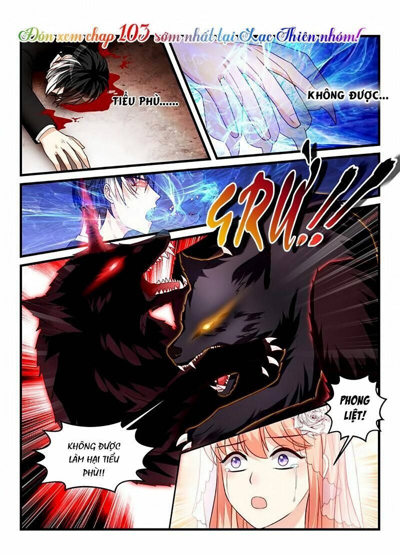 dạy bảo ma vương lão công chapter 102 11