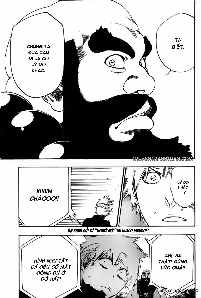 thần chết ichigo chapter 517 19