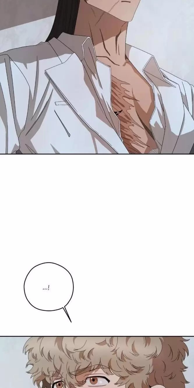 liveta chapter 31 39