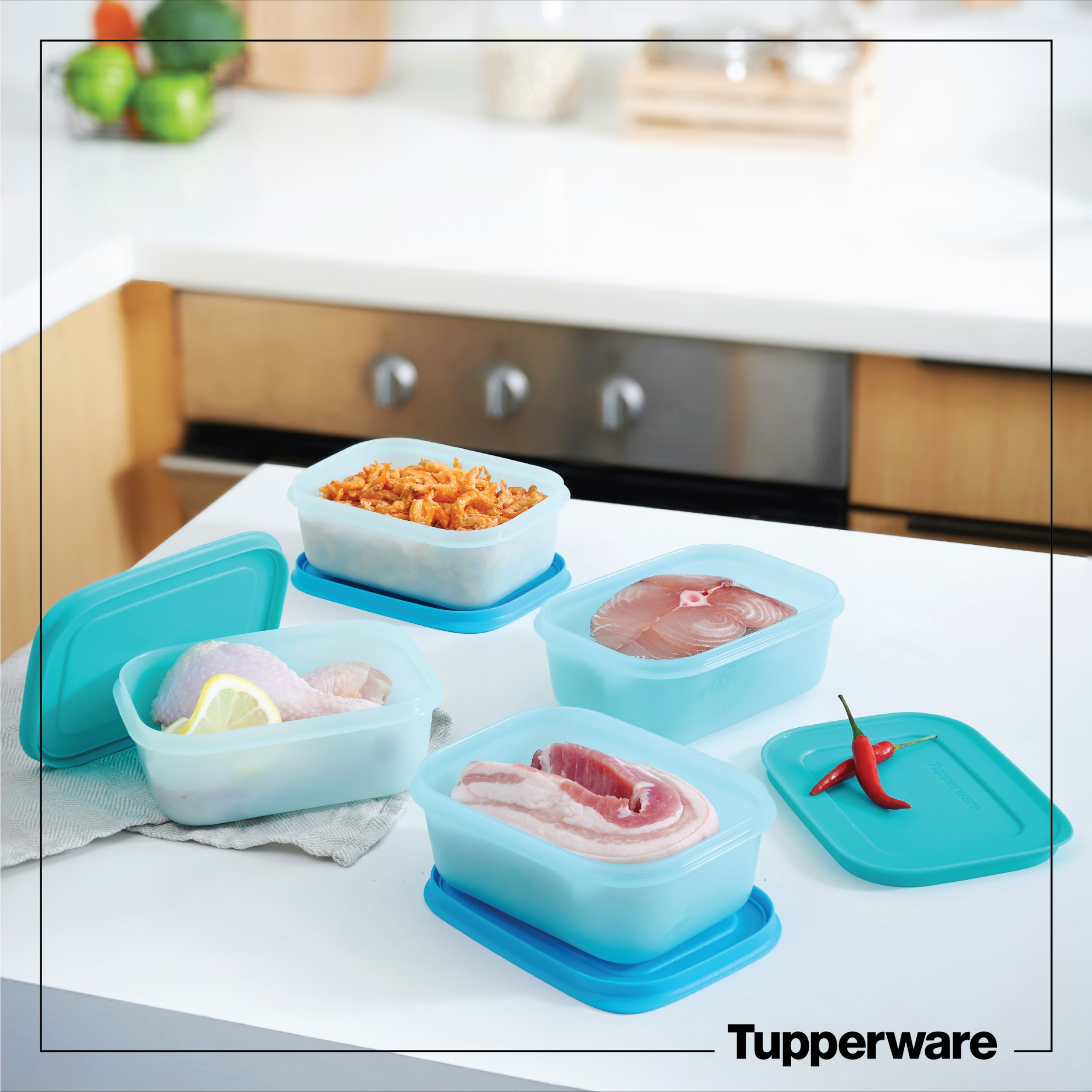 Bộ Hộp Trữ Đông Tupperware Freezermate Gen II 450ml (4 hộp)