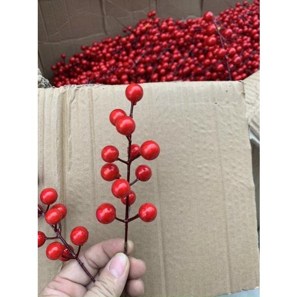 Cành quả cherry, cành đào đông nhánh Nhỏ trang trí Tết, noel vòng nguyệt quế