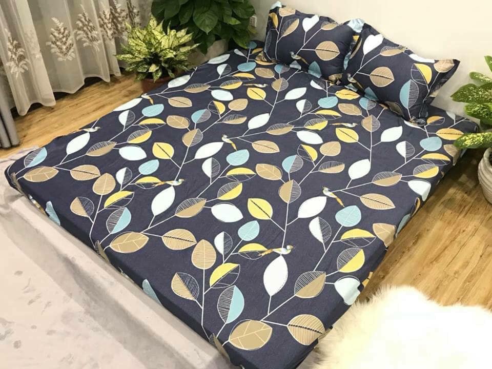 Set 5 món chăn hè ga chun Cotton Poly - Lá Đen - Tặng kèm 1 móc khóa Houston
