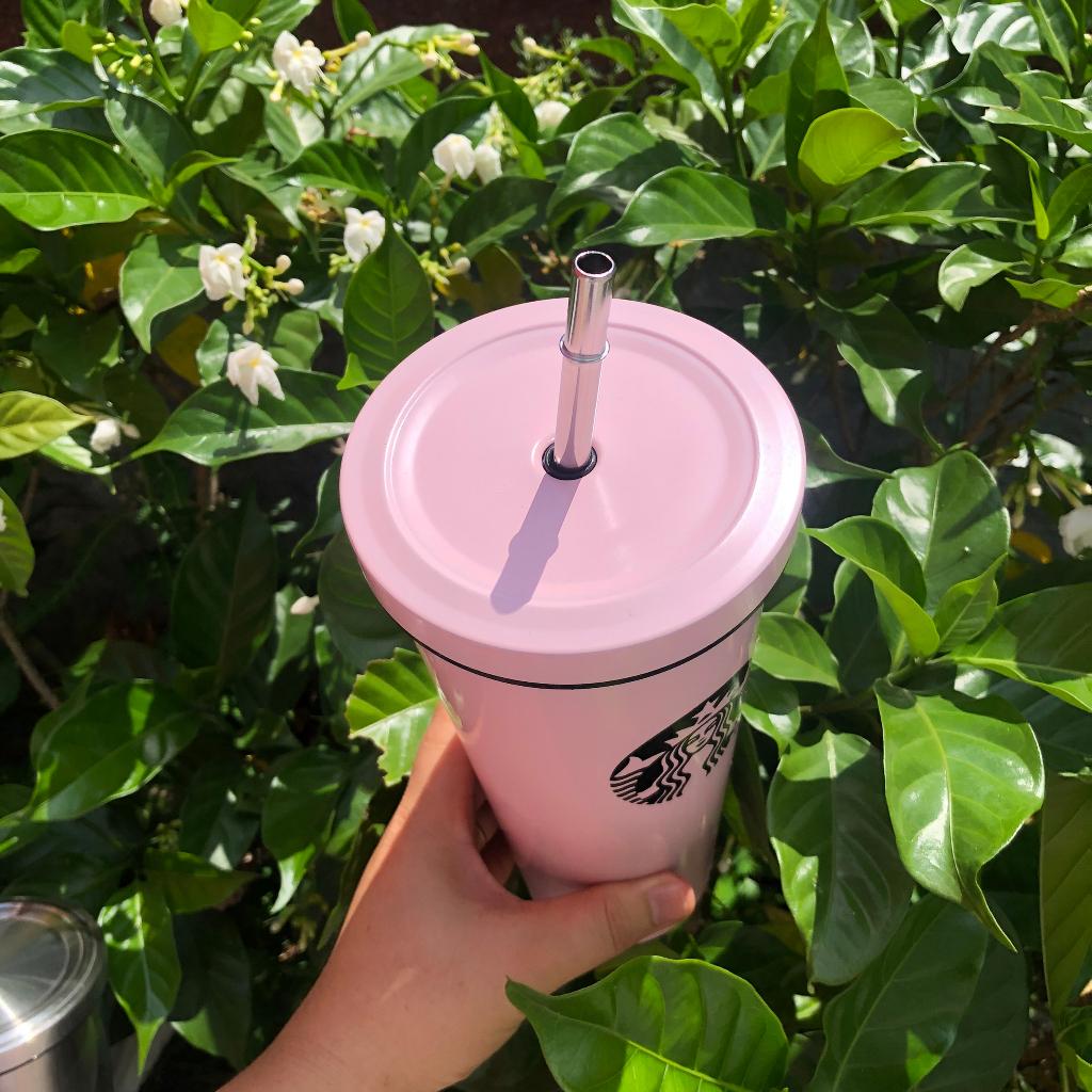 Cốc giữ nhiệt 750ml nhiều mầu lõi INOX 304 kèm ống hút