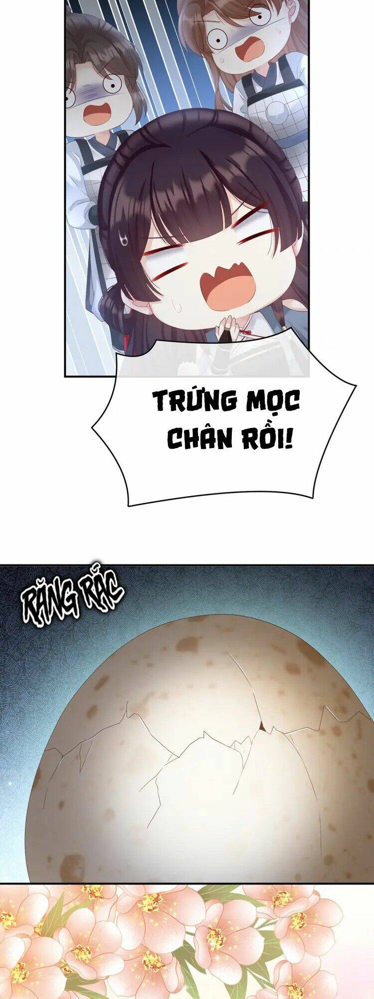 kiều phu có hỉ chapter 62 9