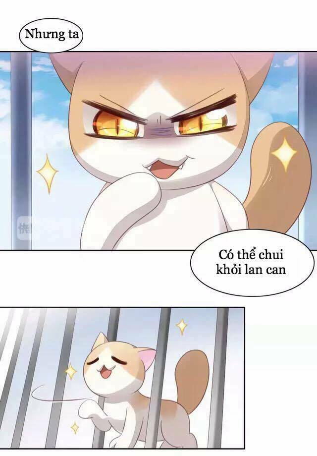 dưới móng vuốt mèo chapter 15 39