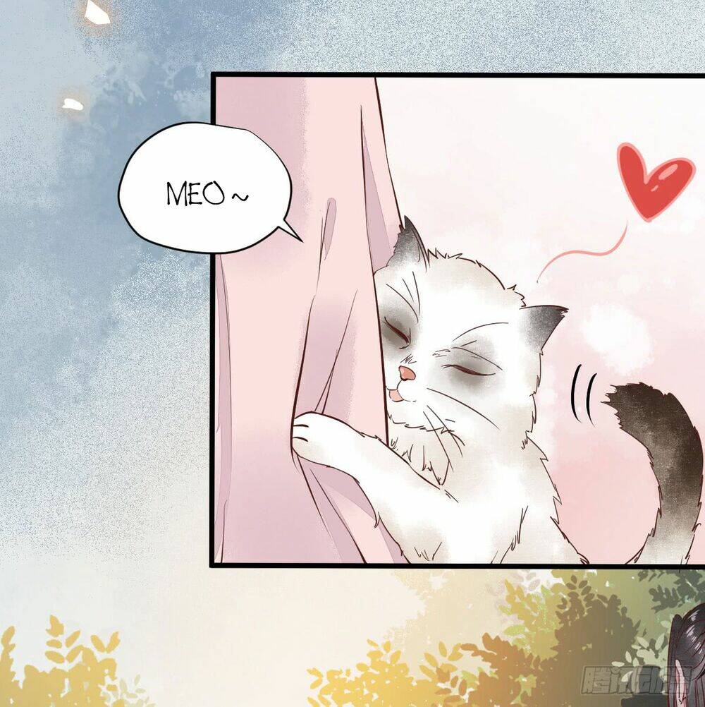 sát thủ vương phi không dễ chọc chapter 5.5 7