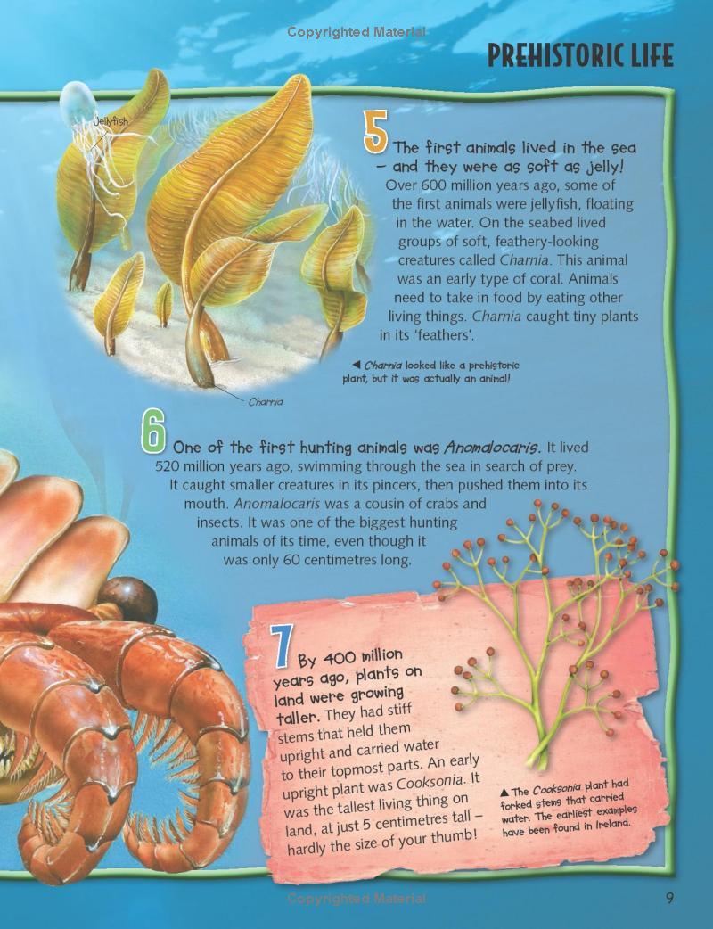 Sách ngoại văn: Wild About Dinosaurs