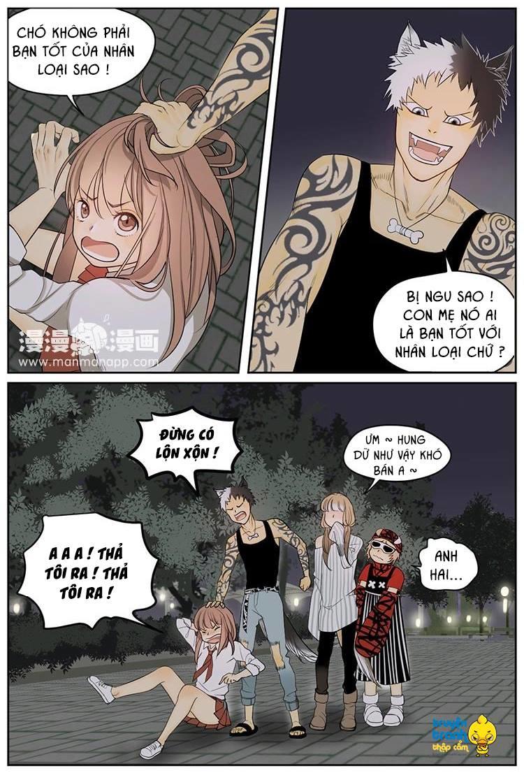 cứu mạng ! loài mèo thống trị thế giới rồi ! chapter 6 6